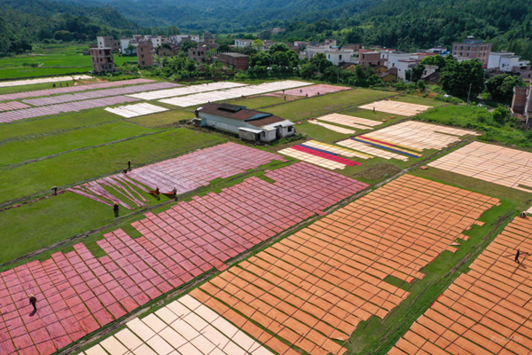 肇慶染料工廠消防維保 肇慶染料工廠消防維保